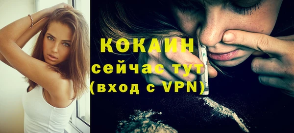 a pvp Пересвет