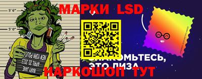 шишки Донской