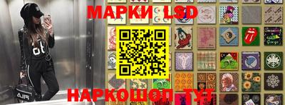 шишки Донской
