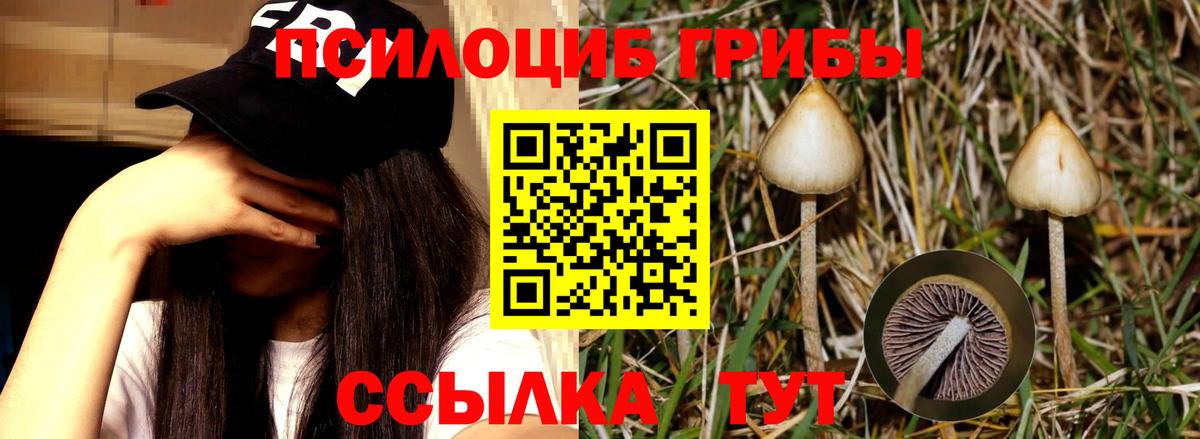 Галлюциногенные грибы мухоморы Рассказово